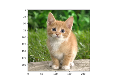 Deploy Pretrained Vision Model from MxNet on VTA