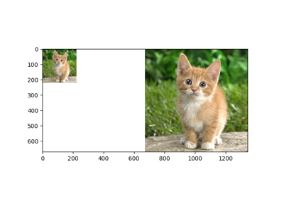 Compile ONNX Models